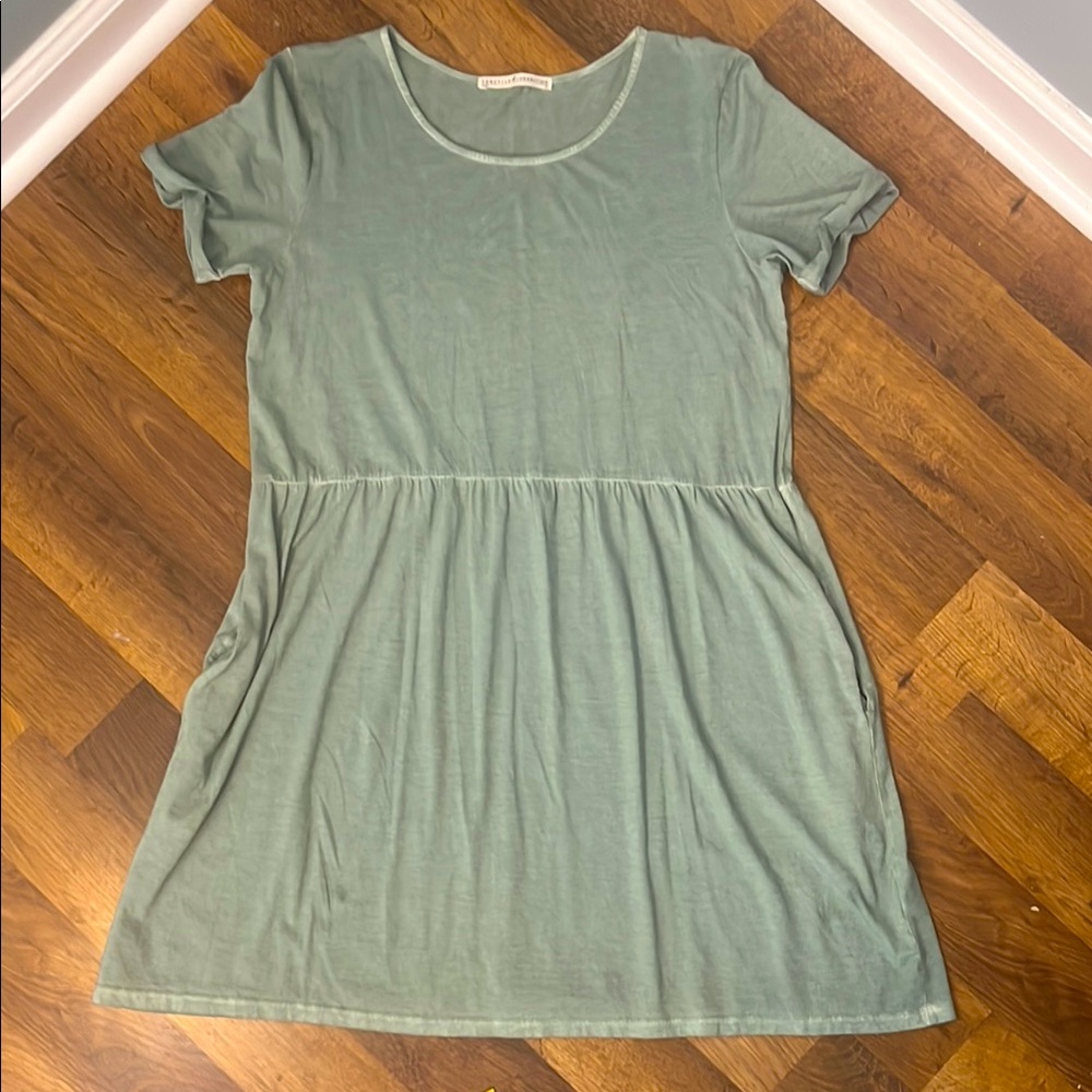 Peruvian Connection Pima Cotton Dress With Pockets Light Green Size Medium